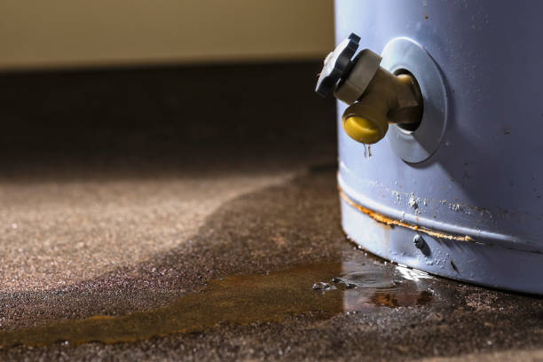 Best Professional water damage repair  in Naugatuck, CT