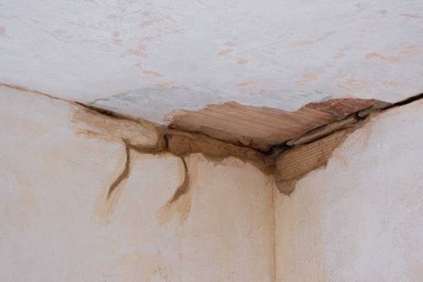 Best Water damage cleanup near me  in Naugatuck, CT
