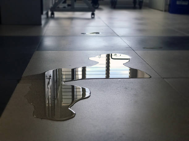 Best 24-hour water damage restoration  in Naugatuck, CT