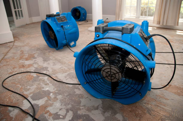 Best Professional water damage repair  in Naugatuck, CT