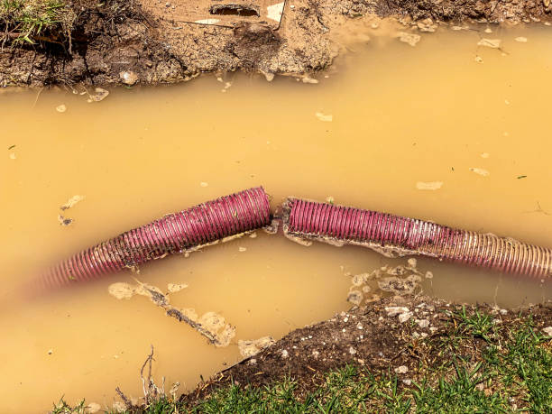 Best Water damage restoration near me  in Naugatuck, CT
