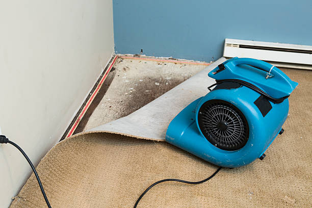 Best Emergency water damage restoration  in Naugatuck, CT